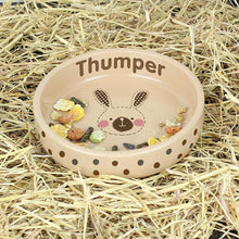 Load image into Gallery viewer, Personalised Rabbit Stitch Small Brown Rabbit Bowl