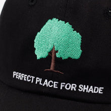Load image into Gallery viewer, &quot;PERFECT PLACE FOR SHADE&quot; CAP